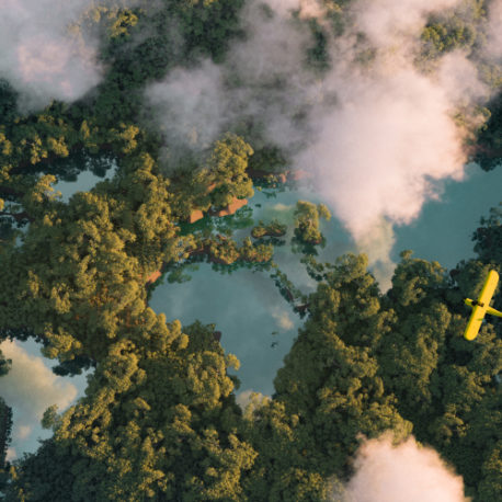 Ilmakuva pilvisestä vehreästä metsästä