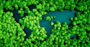 Ilmakuva vihreästä sademetsästä