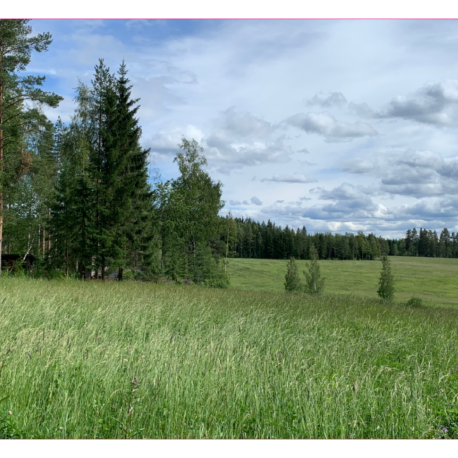 Kesäpäivä